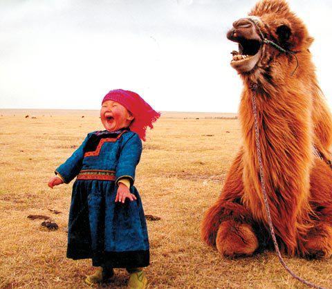 happy-baby-mongolian-n-camel