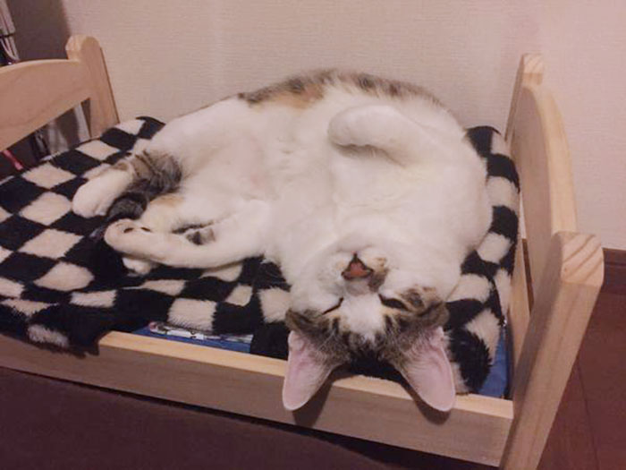 ikea-duktig-bed-hack-cat-bed-13