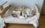 ikea-duktig-bed-hack-cat-bed-19