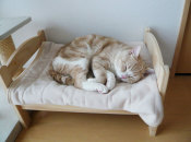 ikea-duktig-bed-hack-cat-bed-19