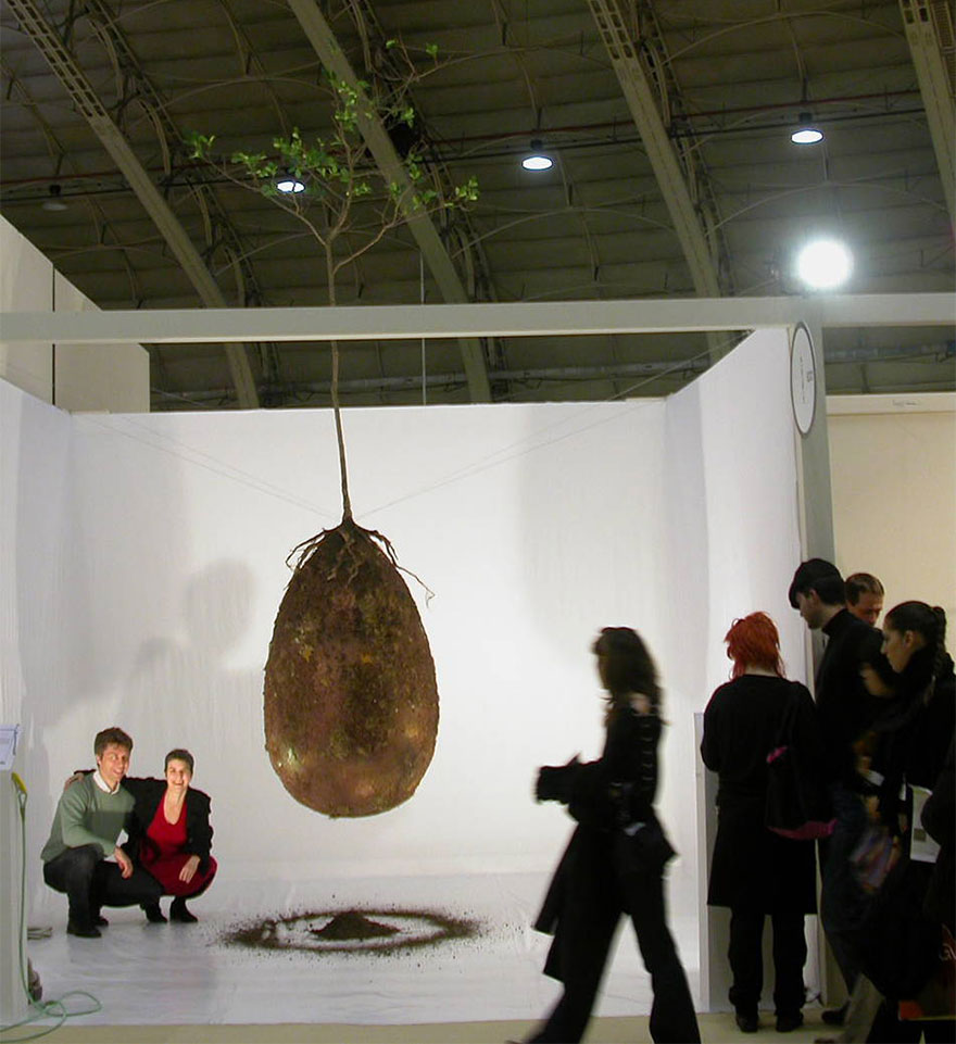 biodegradable-burial-pod-memory-forest-capsula-mundi-4