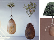 biodegradable-burial-pod-memory-forest-capsula-mundi-cover