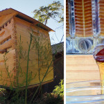 honey-on-tap-flow-hive-stuart-cedar-anderson-cover