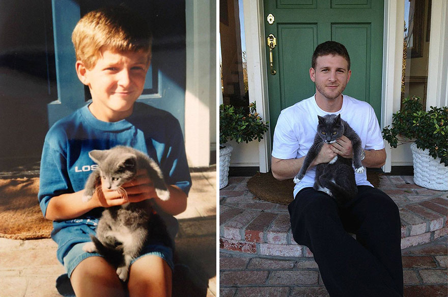 before-and-after-growing-up-cats-52__880