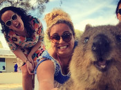 quokka-selfie-trend-cute-rodent-australia-cover