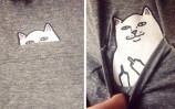 t-shirt-pocket-cat-showing-middle-finger-cover