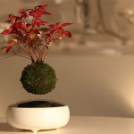 floating-bonsai-trees-air-hoshinchu-25