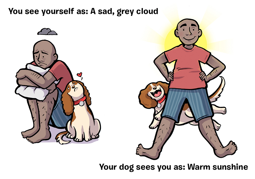 how-you-see-yourself-vs-how-your-dog-sees-you-20__880