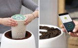 plant-A-Tree-In-Your-Loved-Ones-Ashes-Using-Smart-Technology-cover