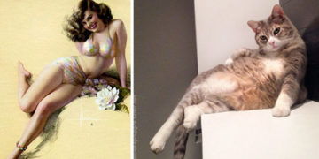 funny-cats-vintage-pin-up-girls-cover