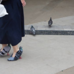 pigeon-shoes-japanese-woman-cover