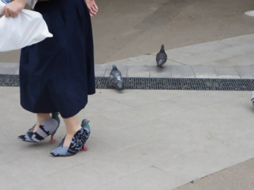 pigeon-shoes-japanese-woman-cover